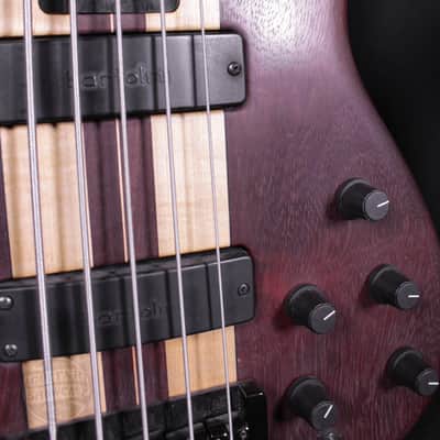 Tobias Fretless 5 String Bass image 8