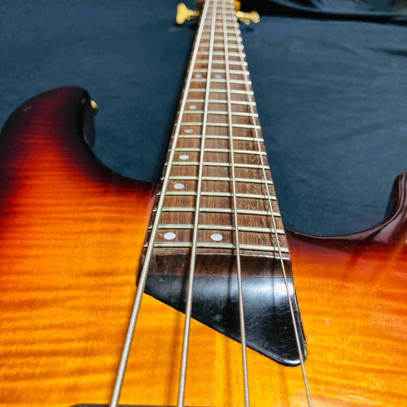 Washburn KW-1250 Kip Winger Signature Model Electric Bass Guitar