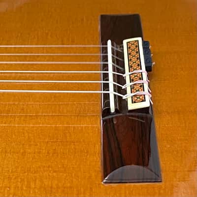 Manuel Contreras 2A Classical Guitar, See VIDEO, Cedar Top, ex. Tavi Jinariu image 10
