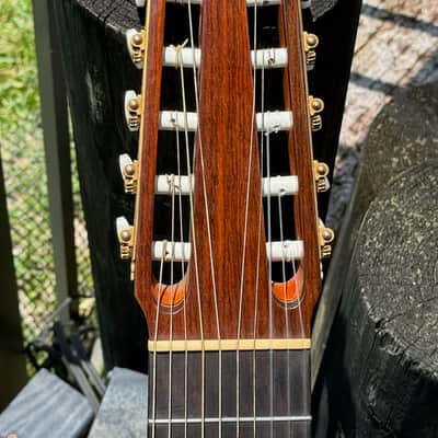Batiste Bofi Concierto 10-String Classical 1984 - stunning 41 year old Indian Rosewood special order from Valencia Spain. image 7