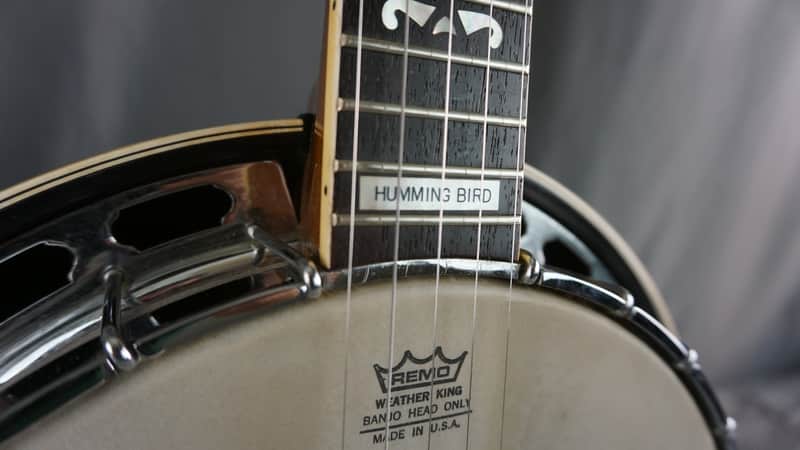 Bird Humming Tokai - Hummingbird Premier Guitar w⁄ of 5th 5-String