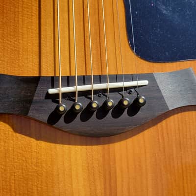 Taylor 50th Anniversary 217e-SB Plus LTD image 5
