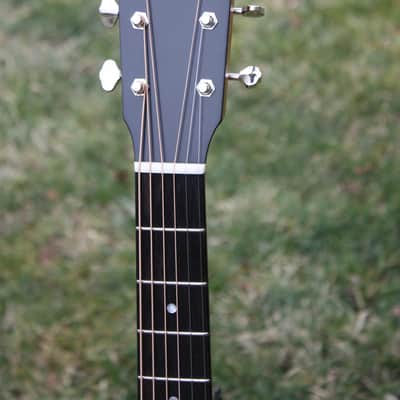 Eastman E1SS Ltd Edition image 8
