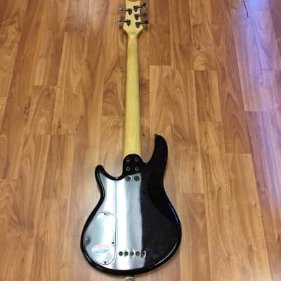 Schecter Raiden Special 5 Bass image 6