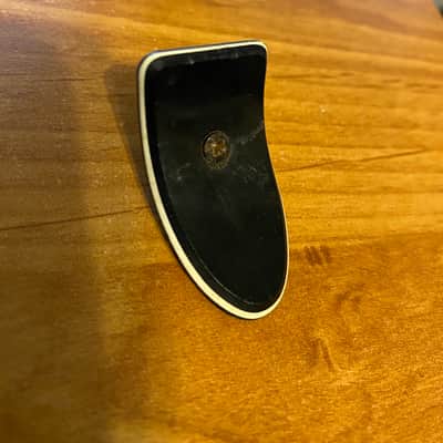 Peavey Truss Rod Cover Black image 1