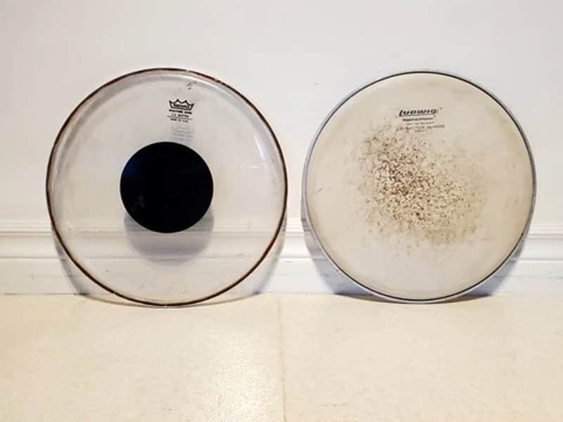 2PC Ludwig & Remo 12'inch Batter Heads Set - 1970's - Save $ image 1