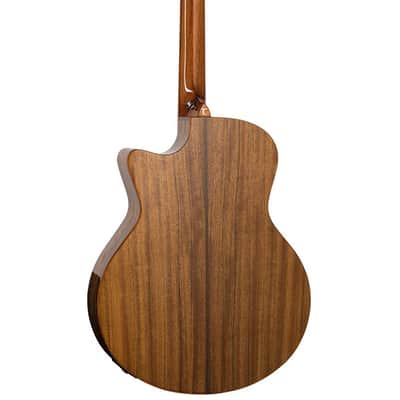 TANGLEWOOD GUITARRA ACÚSTICA TANGLEWOOD SERIE WINTERLEAF EXOTIC PACIFIC WALNUT image 2