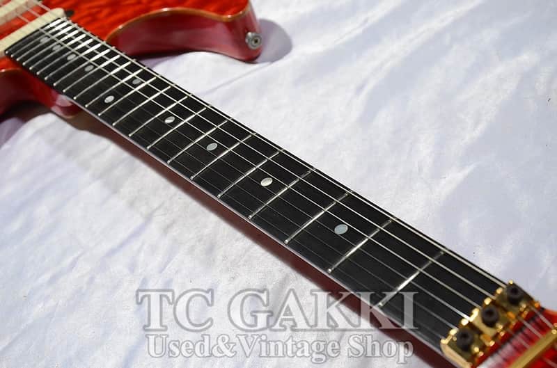 Valley Arts Custom Pro SRE 270 | Reverb