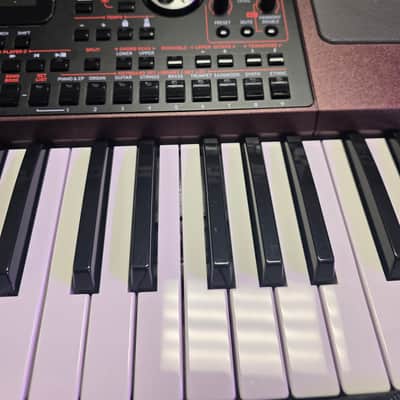 Korg PA1000 61-Key Professional Arranger 2017 - Present - Red image 5