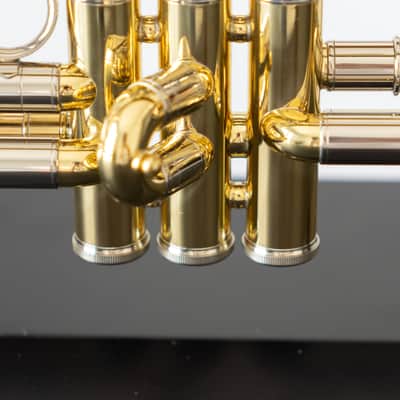 Yamaha YTR-8335IIG Xeno Bb Trumpet with Gold Brass Bell (SN 5731xx) image 10