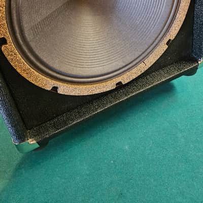 EarCandy Shirley 20W 1x12 Compact With Warehouse Speaker image 11