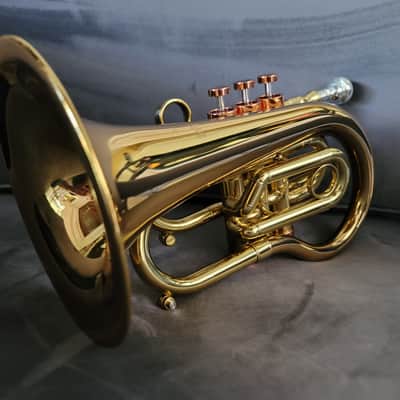 CarolBrass Pocket Flugelhorn / Taylor Phat Puppy 2024 - Polished / Lacquered image 16