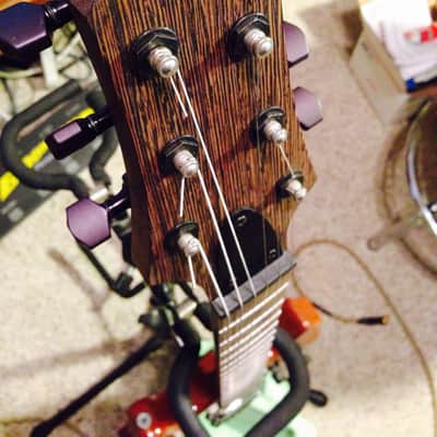 Warmoth WGD Natural- Jerry Garcia / Tiger image 2