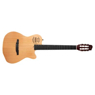 ACS Nylon SA Natural SG + housse Godin image 6