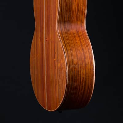 Lowden S-50C Cocobolo and Alpine Spruce with Bevel and Maple Neck NEW image 22