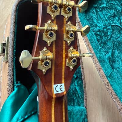 Parker P8E-N acoustic with case US CUSTOMERS TARIFF FRES ARE iNCLUDED IN SHIPPING COST AND PREPAID. image 7