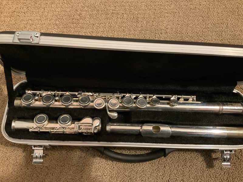 Di Zhao DZ 200 Closed Hole Flute New Pads, New Case image 1