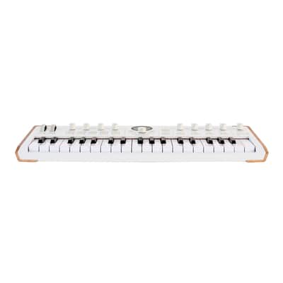 Arturia AstroLab 37 37-Key Stage Keyboard - Open Box image 3