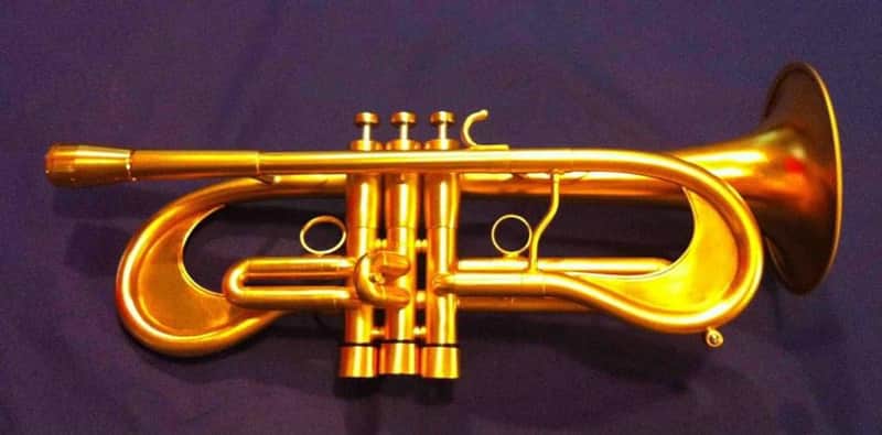 Monette Flumpet 2008 - Gold 24k image 1