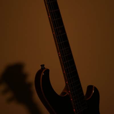 Alembic Darling Cocobolo Guitar image 14