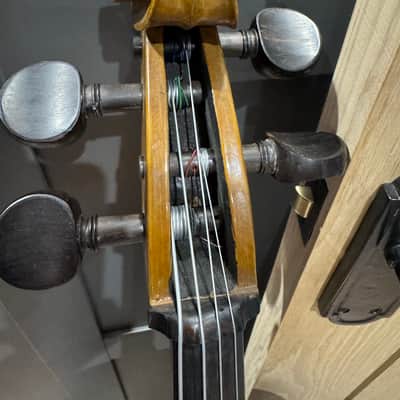 Stentor Student II Cello 3/4 - Gold Brown with case and bow image 4
