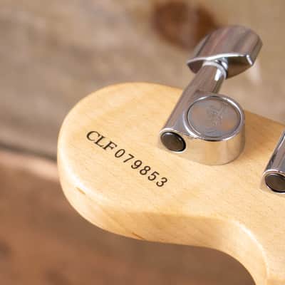 G&L ASAT Classic Bluesboy Monkey Pod image 13