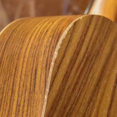 Taylor GS-Mini-E Rosewood image 18