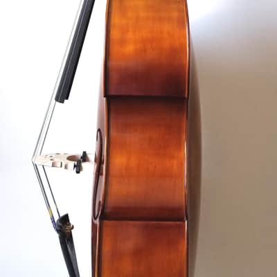 Christopher Academy Gamba bass,  1/10, 1/8, 1/4, 1/2, 3/4 image 6