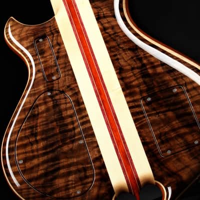 Alembic Darling - Fancy Walnut/Demo image 11