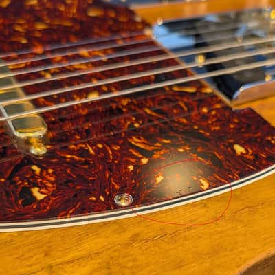 Smitty Custom Classic (Telecaster) image 22