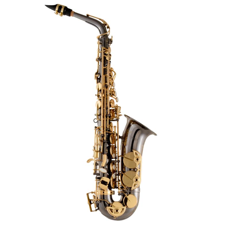 Selmer SAS511B Advanced Eb Alto Saxophone image 1