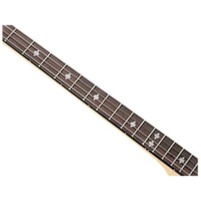 Gold Tone Cripple Creek Tenor Banjo - Open Box image 3