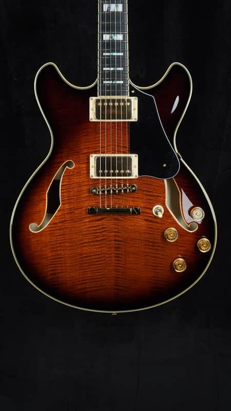 Ibanez John Scofield Signature JSM100 in Vintage Sunburst image 1
