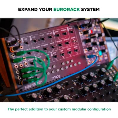 Moog Mavis (Semi-Modular Analog Synthesizer Kit) image 9