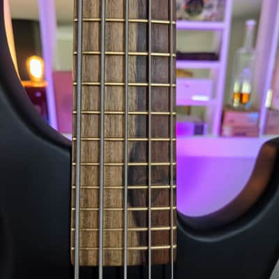 MTD Lynn Keller Signature 532-24 Short Scale 5-String Bass | 32" Scale image 3