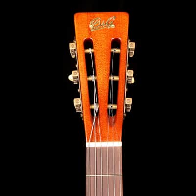 B&G Guitars Little Sister Crossroads Cutaway Tobacco Burst image 10