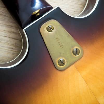 1968 Hagstrom Concord C-2 Deluxe Vintage Hollowbody Bass Guitar Ebony Board & Gold Hardware, Viking image 17