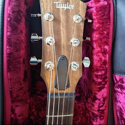 Taylor GT Urban Ash image 4