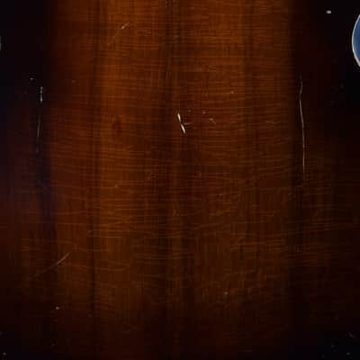 Brach Tamburitza Guitar-Bodied 5-string, Rosewood and Spruce, Great Sound! image 5