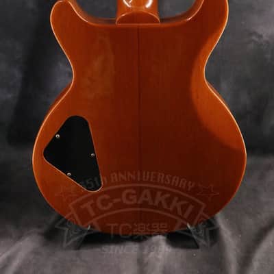 Gibson Les Paul Standard DC image 13