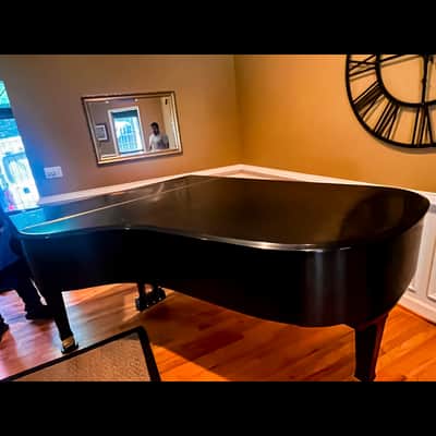 Immagine Majestic Semi-Concert Grand: Mason & Hamlin Model BB - 6