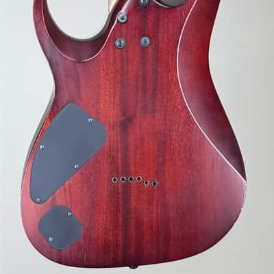 Ibanez RGAIX6FM Gray image 16