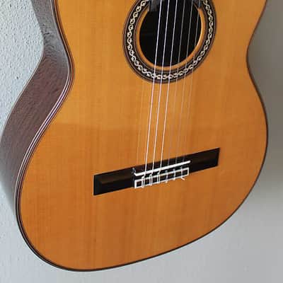 Brand New Cordoba C10 Cedar Top Classical Guitar image 4