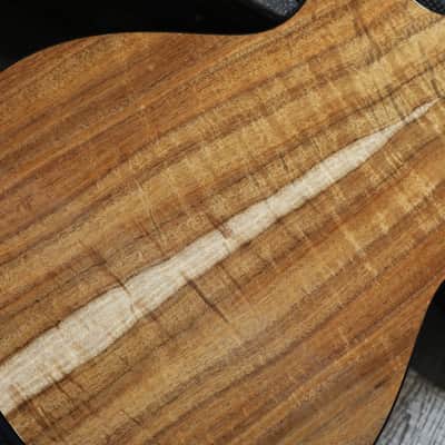 Unplayed! 2018 Taylor 712ce 12 Fret Limited Edition Torrified Spruce Blackwood Acoustic Guitar Natural + OHSC image 14