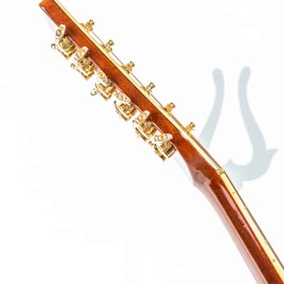 Daion Year Series '81 Gazelle / 12 String Electric Acoustic image 14