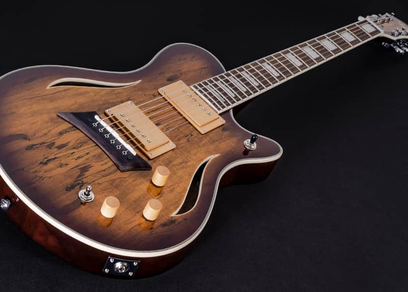 Michael Kelly Hybrid Special, Spalted Maple Burst Top, Chambered Mahogany Body image 1