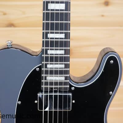 Schecter PT EX - Dorian Gray image 3