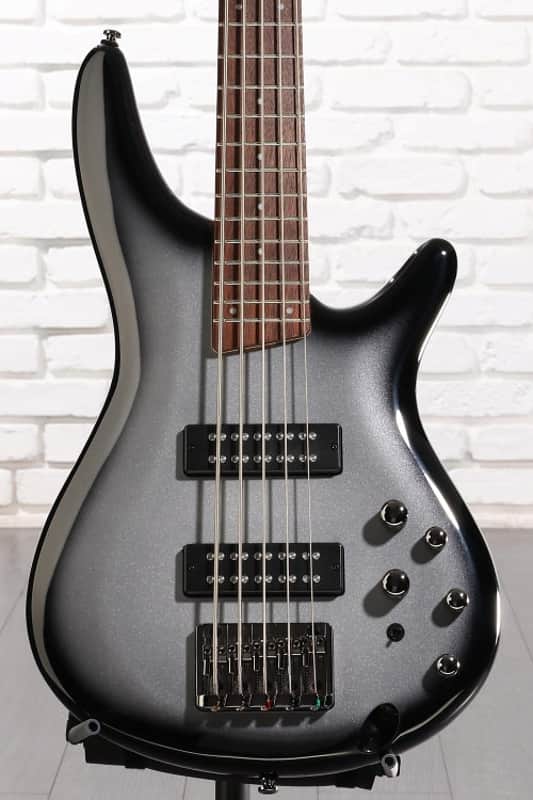 Ibanez Standard SR305E 5-string Bass Guitar - Metallic Silver Sunburst (SR305EMSSd1) image 1
