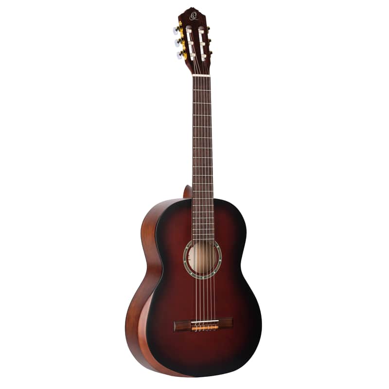 Ortega Family Series Pro R55T image 1
