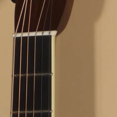 2018 Bourgeois D- Large Soundhole Brazilian Rosewood image 5